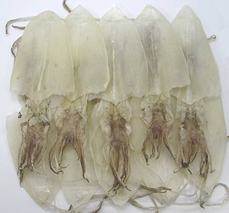 Amazon.co.jp: 剣先するめ 300g 小小サイズ約15枚 山口県産